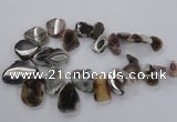 CTD1618 Top drilled 15*25mm - 30*45mm freeform botswana agate beads