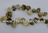 CTD1635 Top drilled 15*20mm - 25*35mm freeform agate beads