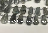 CTD2275 Top drilled 16*28mm - 20*30mm faceted freeform labradorite beads