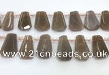 CTD2335 Top drilled 16*18mm - 20*30mm faceted freeform moonstone beads