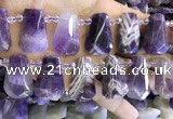 CTD2339 Top drilled 16*18mm - 20*30mm freeform dogtooth amethyst beads