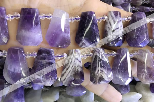 CTD2339 Top drilled 16*18mm - 20*30mm freeform dogtooth amethyst beads