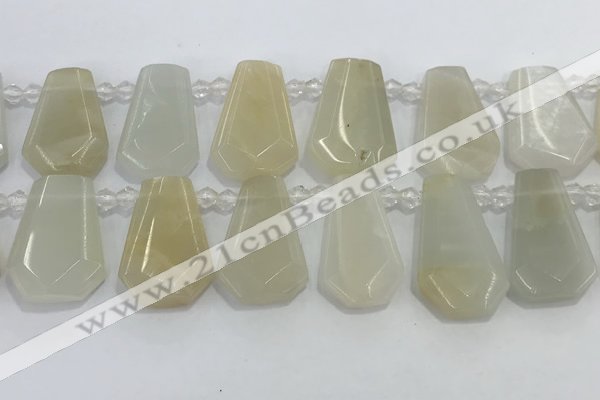 CTD2361 Top drilled 16*18mm - 20*30mm faceted freeform moonstone beads