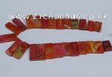 CTD2666 Top drilled 14*27mm - 16*42mm rectangle agate jasper beads