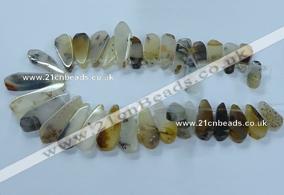 CTD2708 15.5 inches 10*25mm - 18*50mm freeform montana agate beads