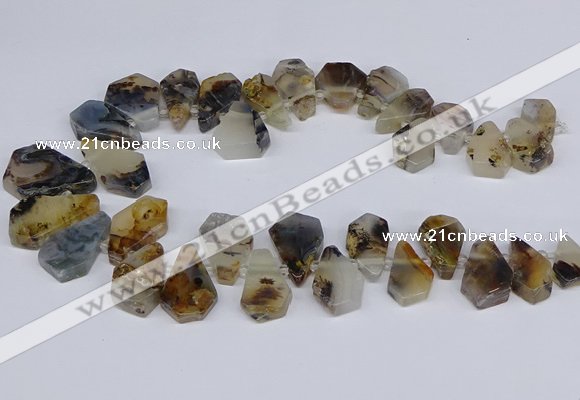 CTD2732 Top drilled 15*20mm - 25*35mm freeform montana agate beads