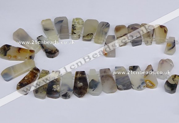 CTD2733 Top drilled 15*25mm - 20*35mm freeform montana agate beads