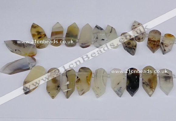 CTD2734 Top drilled 15*28mm - 18*45mm freeform montana agate beads