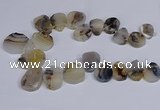 CTD2736 Top drilled 20*25mm - 35*45mm freeform Montana agate beads