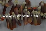 CTD2767 Top drilled 4*20mm - 6*22mm sticks sea urchin shell beads