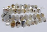 CTD2825 Top drilled 15*25mm - 25*35mm freeform Montana agate beads