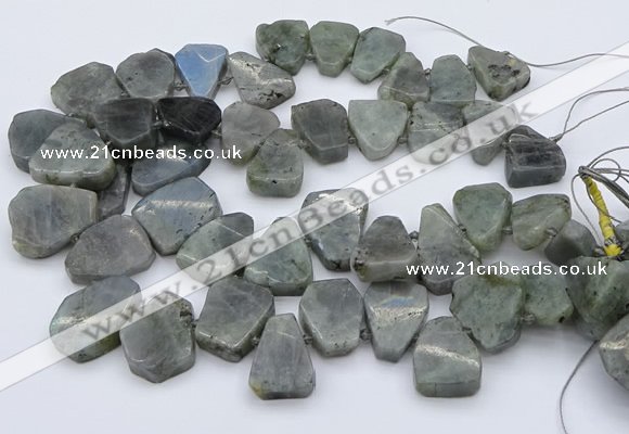 CTD333 Top drilled 15*20mm - 25*30mm freeform labradorite beads