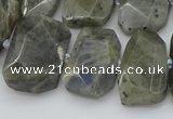 CTD3573 15.5 inches 15*20mm - 18*25mm freeform labradorite beads