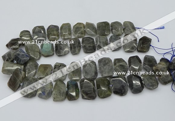 CTD3573 15.5 inches 15*20mm - 18*25mm freeform labradorite beads