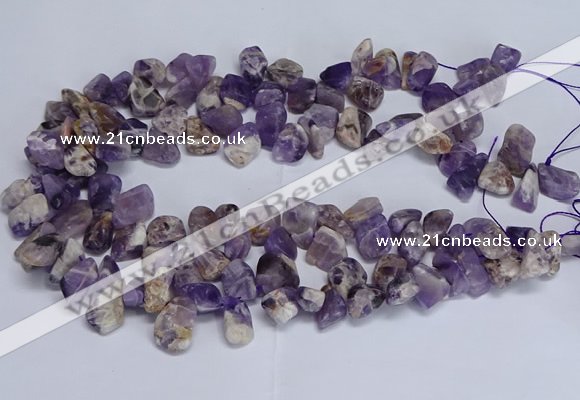 CTD3602 Top drilled 10*14mm - 13*18mm nuggets dogtooth amethyst beads