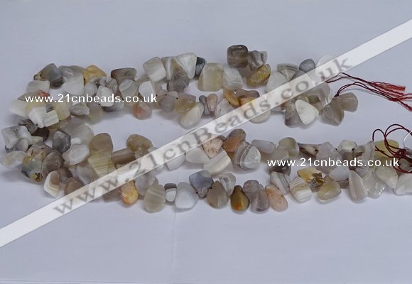 CTD3609 Top drilled 10*14mm - 13*18mm nuggets botswana agate beads