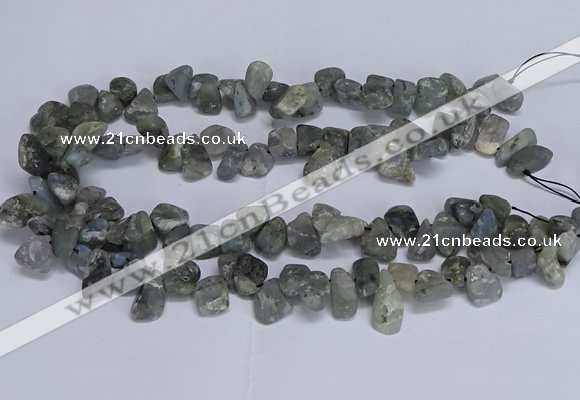 CTD3611 Top drilled 10*14mm - 13*18mm nuggets labradorite beads