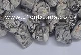 CTD3614 Top drilled 10*14mm - 13*18mm nuggets grey picture jasper beads