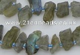 CTD3631 Top drilled 6*15mm - 10*20mm nuggets labradorite beads