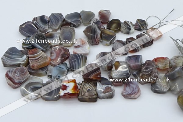 CTD3643 Top drilled 15*20mm - 25*30mm freeform botswana agate beads