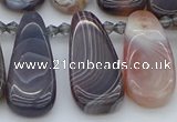 CTD3647 Top drilled 10*20mm - 15*45mm freeform matte botswana agate beads