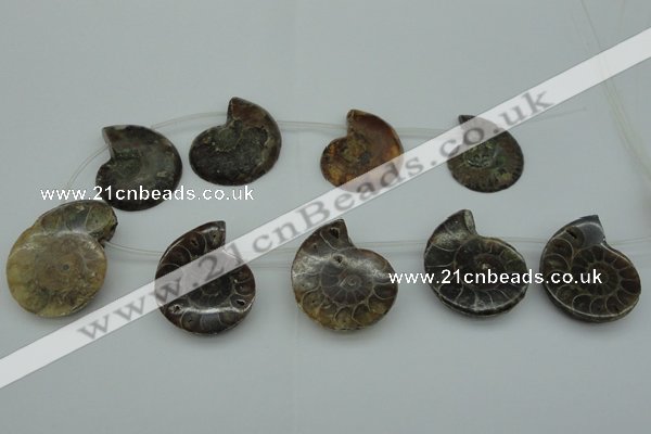 CTD365 Top drilled 25*35mm - 35*45mm carved ammonite gemstone beads