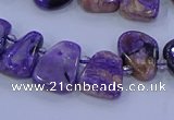 CTD3652 Top drilled 10*14mm - 15*20mm freeform charoite beads