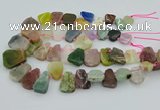 CTD3699 Top drilled 15*20mm - 25*30mm freeform mixed gemstone beads