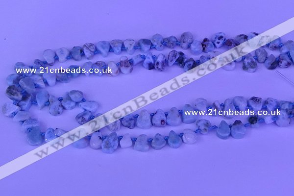 CTD3859 Top drilled 6*8mm - 10*12mm freeform larimar beads