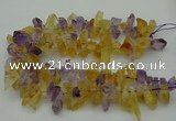 CTD419 Top drilled 10*20mm - 15*35mm nuggets amethyst & citrine beads