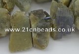 CTD430 15.5 inches 12*20mm - 15*25mm nuggets labradorite beads