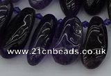 CTD448 Top drilled 10*20mm - 15*30mm freeform amethyst beads