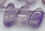 CTD481 Top drilled 10*22mm - 15*45mm freeform amethyst beads