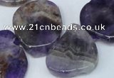 CTD691 Top drilled 18*25mm - 30*40mm freeform amethyst gemstone beads