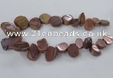 CTD788 Top drilled 15*20mm - 25*35mm freeform plated agate beads