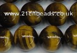 CTE1222 15.5 inches 14mm round AB+ grade yellow tiger eye beads