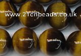 CTE1239 15.5 inches 16mm round A+ grade yellow tiger eye beads