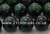 CTE1425 15.5 inches 14mm round green tiger eye beads wholesale