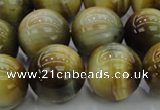 CTE1447 15.5 inches 18mm round golden & blue tiger eye beads