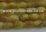 CTE1515 15.5 inches 6*10mm rice golden tiger eye beads wholesale