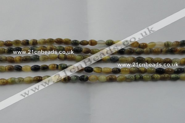 CTE1550 15.5 inches 4*6mm rice golden & blue tiger eye beads wholesale