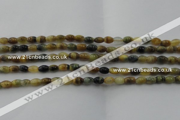 CTE1551 15.5 inches 5*8mm rice golden & blue tiger eye beads wholesale