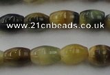 CTE1552 15.5 inches 6*10mm rice golden & blue tiger eye beads wholesale