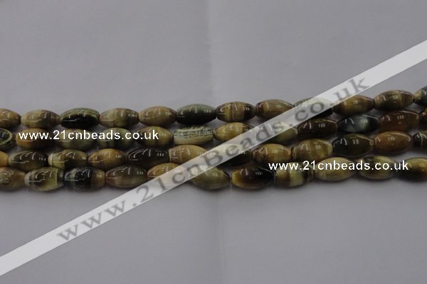 CTE1553 15.5 inches 8*12mm rice golden & blue tiger eye beads wholesale