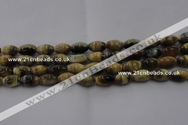 CTE1554 15.5 inches 10*14mm rice golden & blue tiger eye beads wholesale