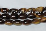 CTE158 15.5 inches 8*12mm rice yellow tiger eye gemstone beads