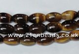 CTE159 15.5 inches 10*14mm rice yellow tiger eye gemstone beads