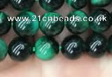 CTE2050 15.5 inches 4mm round green tiger eye beads wholesale