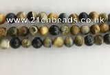 CTE2123 15.5 inches 12mm round golden & blue tiger eye beads