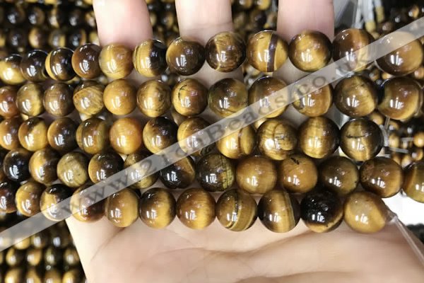 CTE2148 15.5 inches 8mm round yellow tiger eye beads wholesale